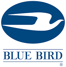BlueBird Groups